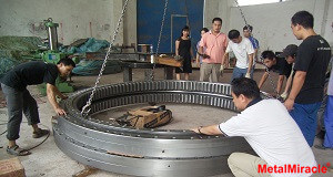 slewing bearing of offshore crane slewing bearing of offshore crane
